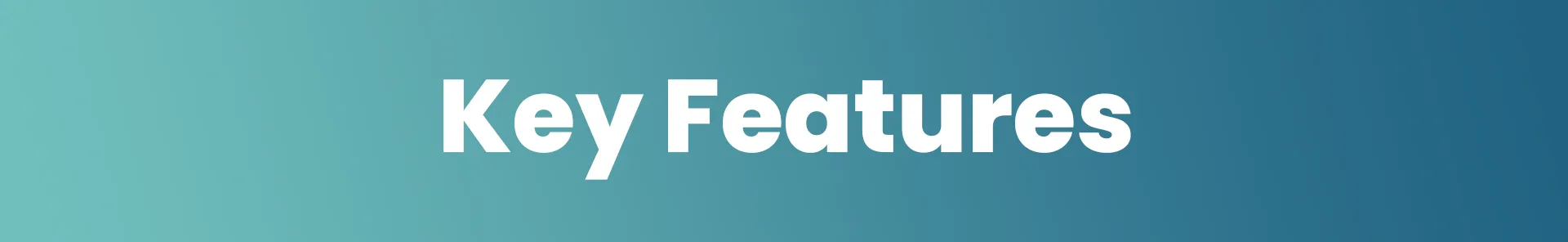 key features.webp