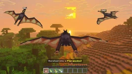 image_5 (2).webp
