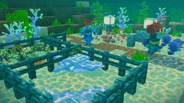 image_5 (12).webp