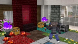 image_7 (12).webp