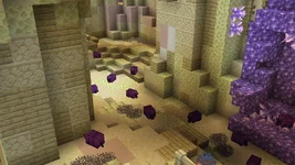 image_4 (13).webp