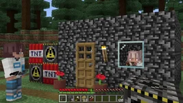 image_2 (17).webp