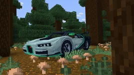 image_7 (23).webp
