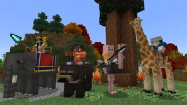 image_7 (1).webp