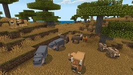 image_6 (1).webp