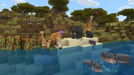 image_4 (1).webp