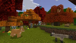 image_5 (1).webp