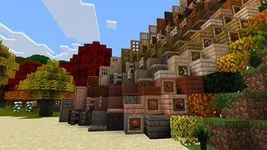 image_3 (1).webp