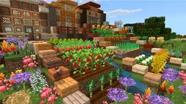 image_2 (1).webp