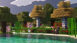 image_3 (5).webp