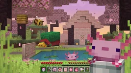 image_2 (6).webp