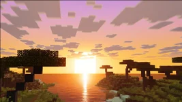 image_7 (19).webp