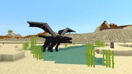 image_3.webp