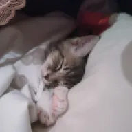 dgdfgdfgdfg345345345