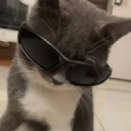 PRIAMAA