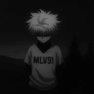 im_MLV91