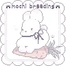 ✨୨✚୧ MochiBreeding ୨✚୧✨[1.17-1.21.X]