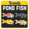 Scenes - Pond Fish - Environment