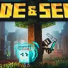 Hide & Seek